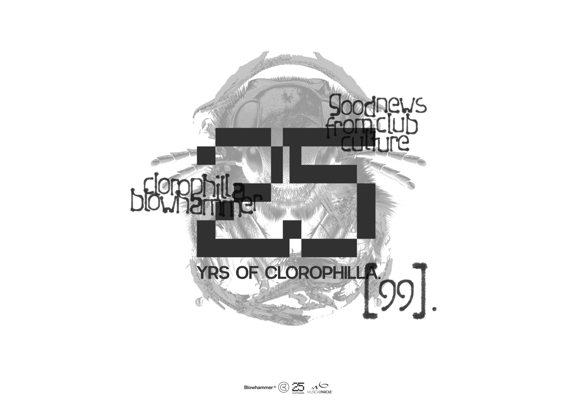 25 yrs of Clorophilla [99]